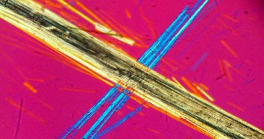 #image1 small portfolio1