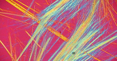 #image3 small portfolio3